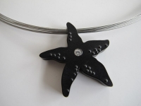 Titanium Pendant Sea Star