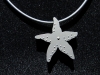 Titanium Pendant Sea Star