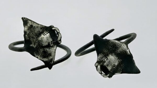 Ringe – Bild 5