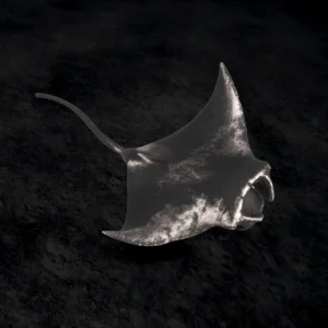 3D Motive
